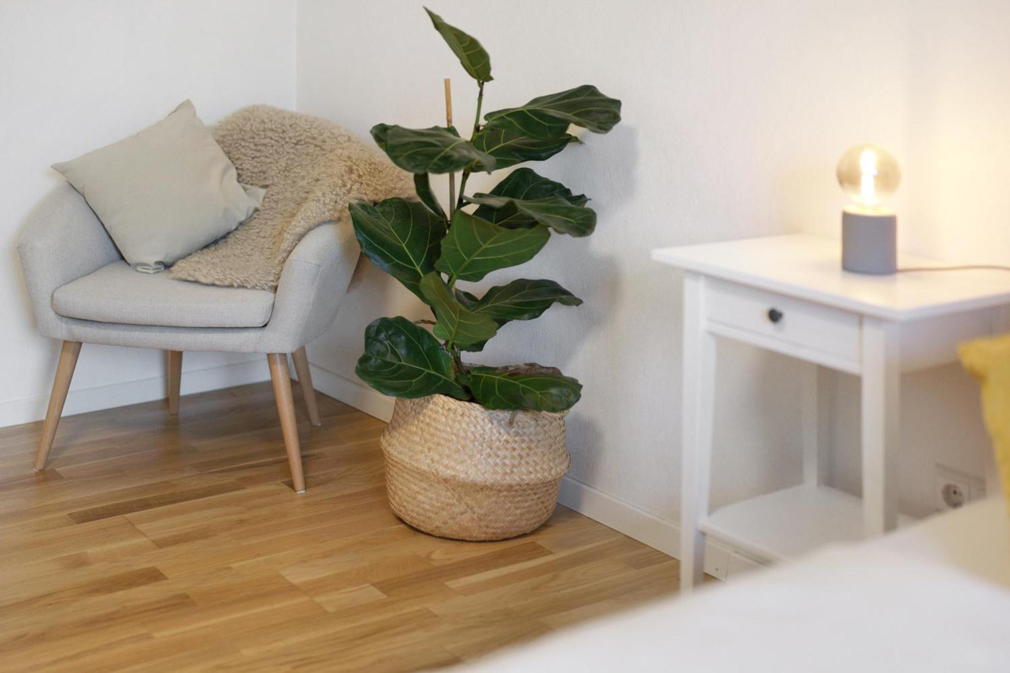 Ferienwohnung Obsthof Fiess Oberkirch  Exteriér fotografie
